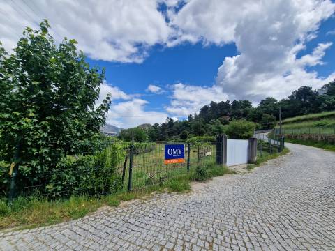 Terreno de 10.000 m2 em Parada de Cunhos, Vila Real