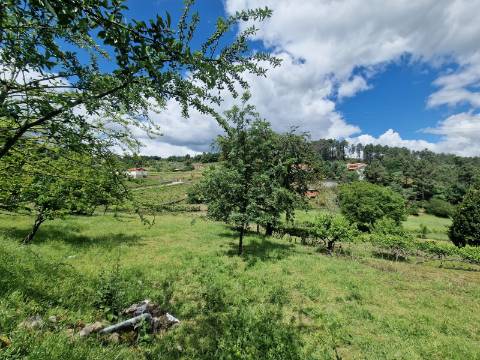 Terreno de 10.000 m2 em Parada de Cunhos, Vila Real