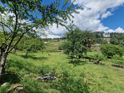 Terreno de 10.000 m2 em Parada de Cunhos, Vila Real