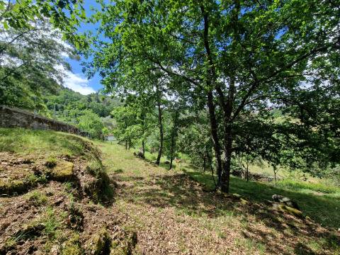 Terreno de 10.000 m2 em Parada de Cunhos, Vila Real