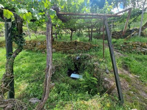 Terreno de 10.000 m2 em Parada de Cunhos, Vila Real