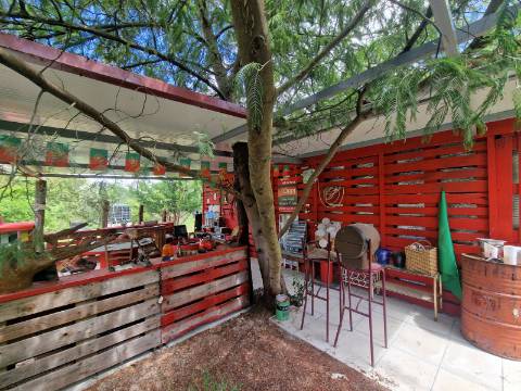 Terreno de 10.000 m2 em Parada de Cunhos, Vila Real