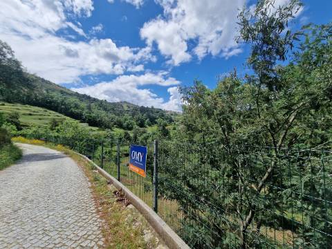 Terreno de 10.000 m2 em Parada de Cunhos, Vila Real