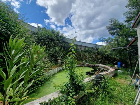 Terreno de 10.000 m2 em Parada de Cunhos, Vila Real