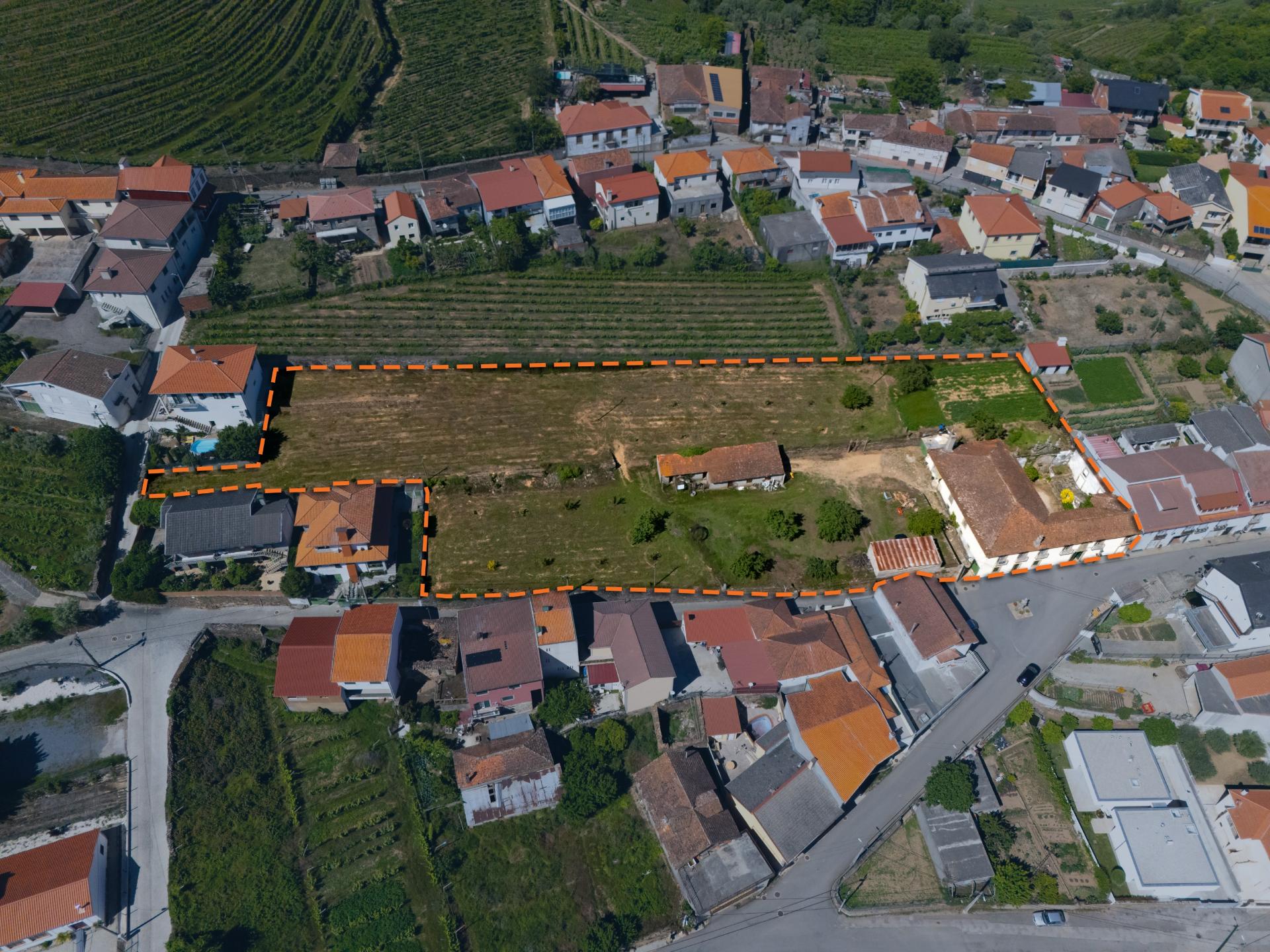 Quintinha Alto Douro Vinhateiro com Moradia Brasonada