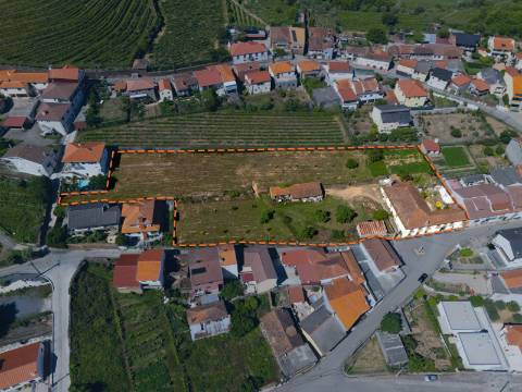 Quintinha Alto Douro Vinhateiro com Moradia Brasonada