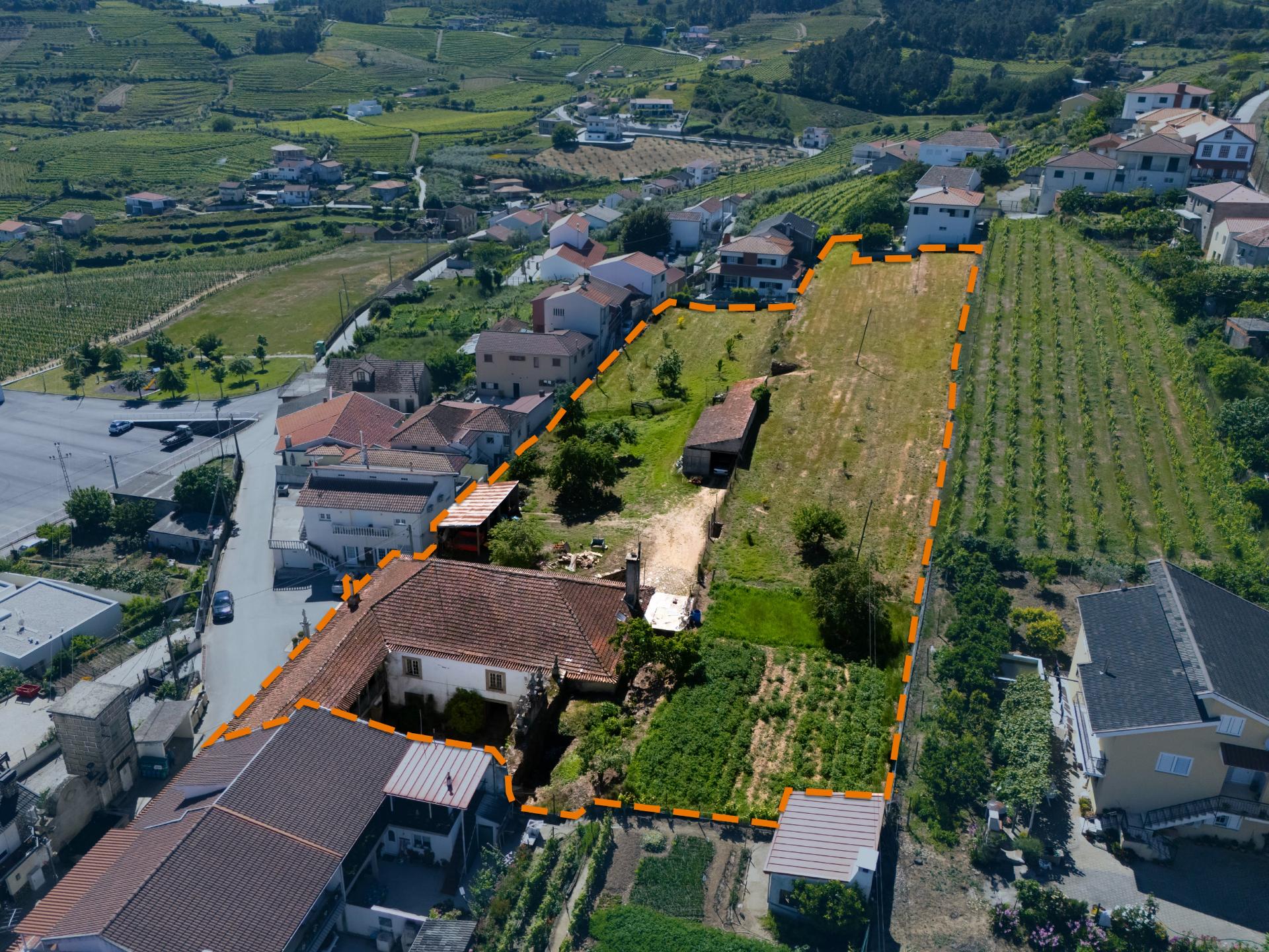 Quintinha Alto Douro Vinhateiro com Moradia Brasonada