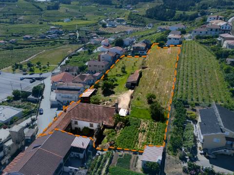 Quintinha Alto Douro Vinhateiro com Moradia Brasonada