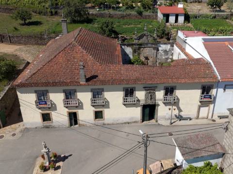 Quintinha Alto Douro Vinhateiro com Moradia Brasonada