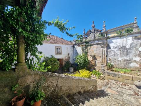 Quintinha Alto Douro Vinhateiro com Moradia Brasonada