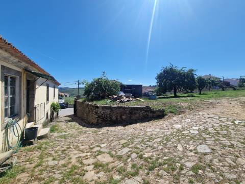 Quintinha Alto Douro Vinhateiro com Moradia Brasonada