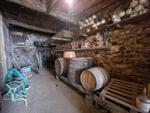 Quintinha Alto Douro Vinhateiro com Moradia Brasonada