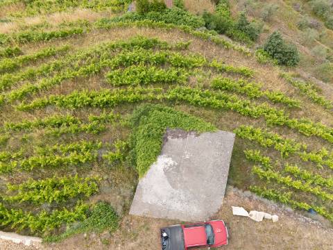 Quintinha com Vinha, Oliveiras, Três Edificações e Água Própria