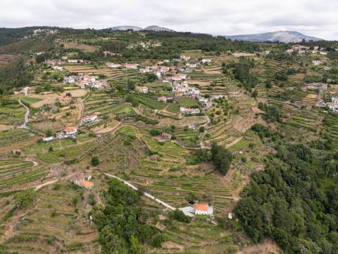Propriedade com Vinha, Oliveiras, Três Edificações e Água Própria