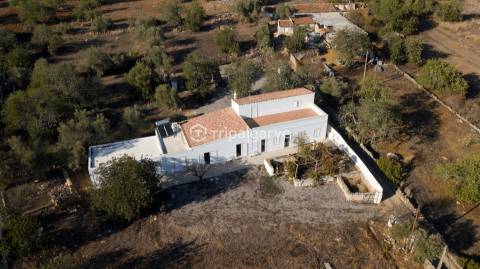 Moradia T4 Rústica no Barrocal Algarvio em S. Brás de Alportel a Venda