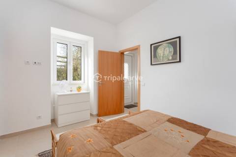 Moradia T4 Rústica no Barrocal Algarvio em S. Brás de Alportel a Venda