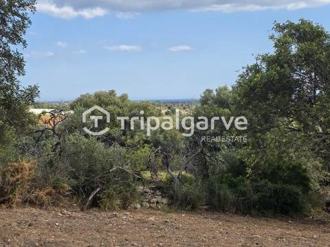 Terreno rústico com Vista Mar em Boliqueime