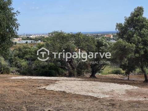 Terreno rústico com Vista Mar em Boliqueime