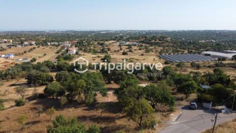 Terreno rústico com Vista Mar em Boliqueime