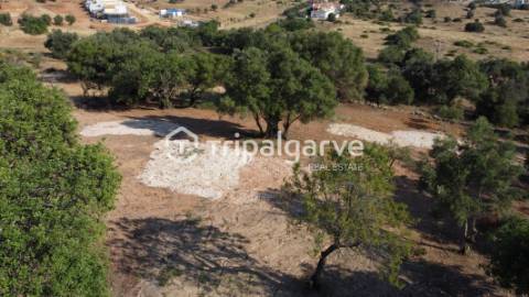 Terreno rústico com Vista Mar em Boliqueime