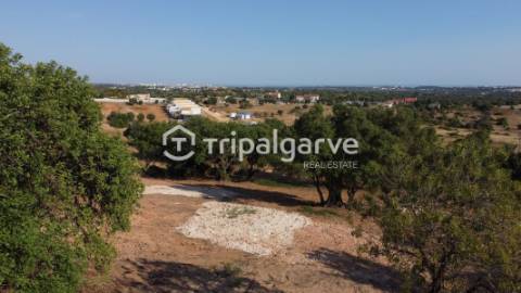 Terreno rústico com Vista Mar em Boliqueime