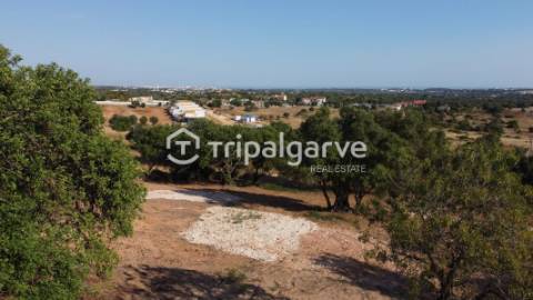 Terreno rústico com Vista Mar em Boliqueime