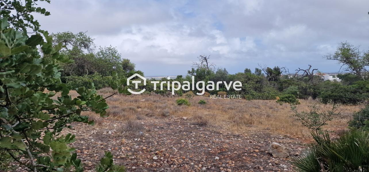 Terreno junto à estrada nacional 125, na Patã de Cima