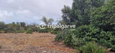 Terreno junto à estrada nacional 125, na Patã de Cima
