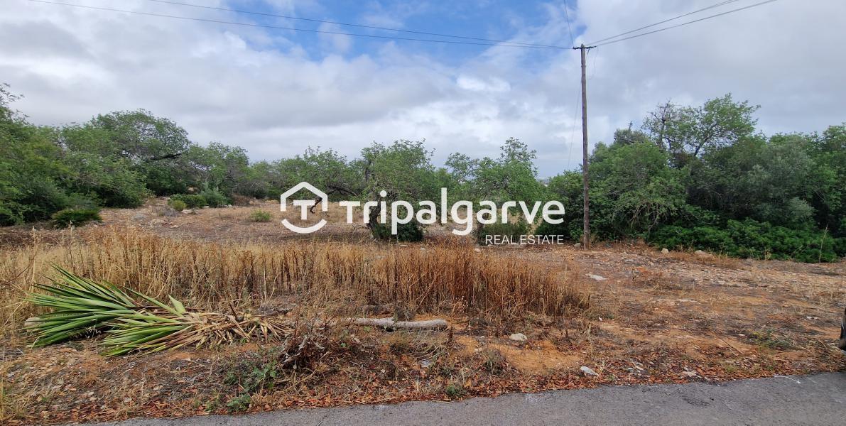 Terreno junto à estrada nacional 125, na Patã de Cima
