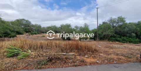 Terreno junto à estrada nacional 125, na Patã de Cima