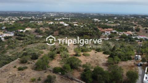 Terreno junto à estrada nacional 125, na Patã de Cima