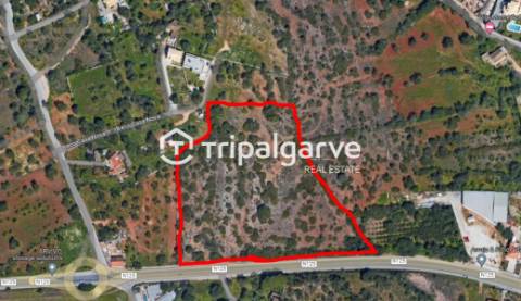 Terreno junto à estrada nacional 125, na Patã de Cima