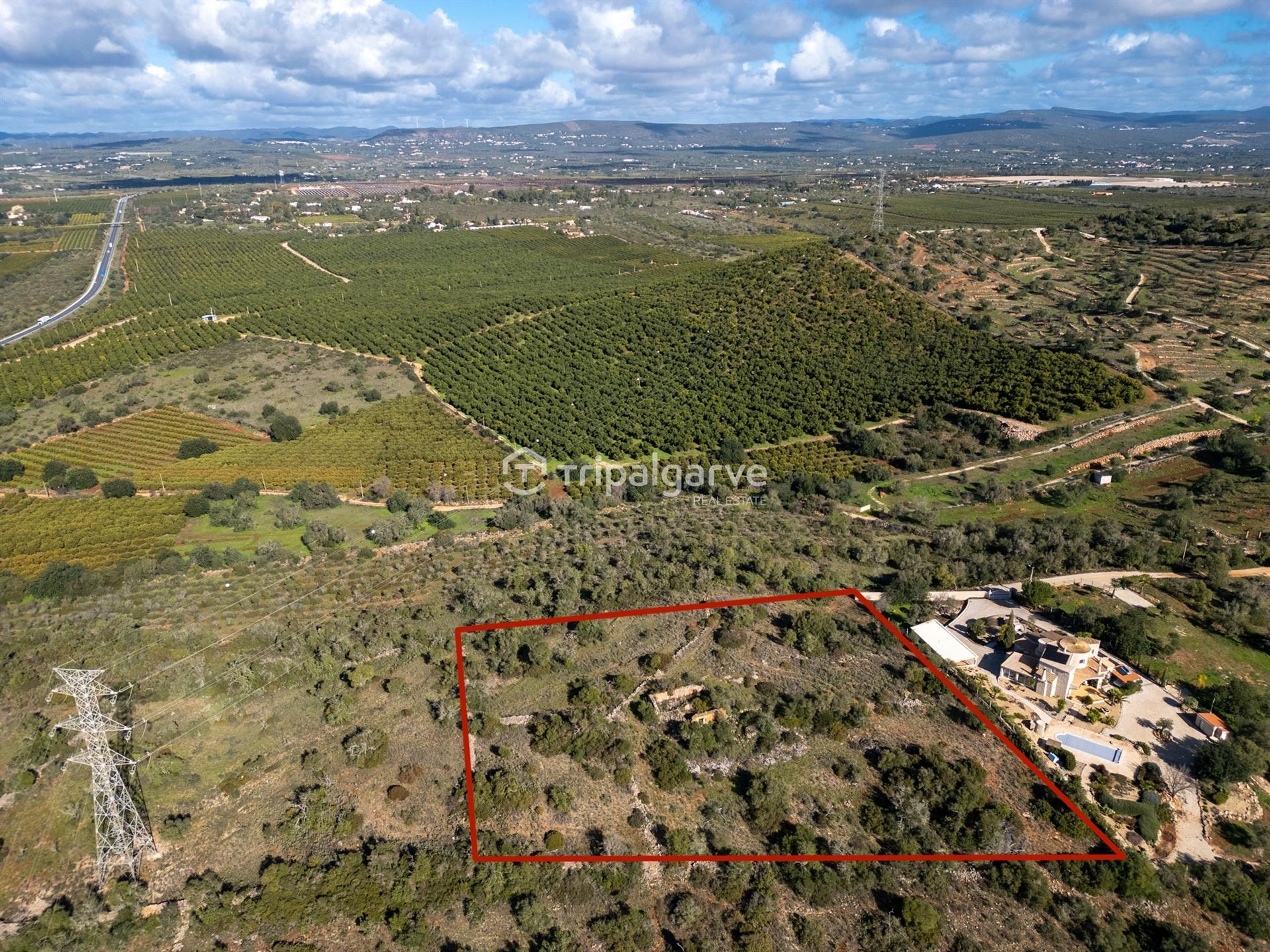 Terreno Misto  Venda em Algoz e Tunes,Silves