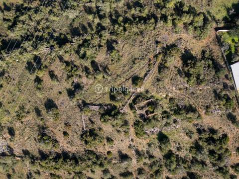 Terreno Misto  Venda em Algoz e Tunes,Silves