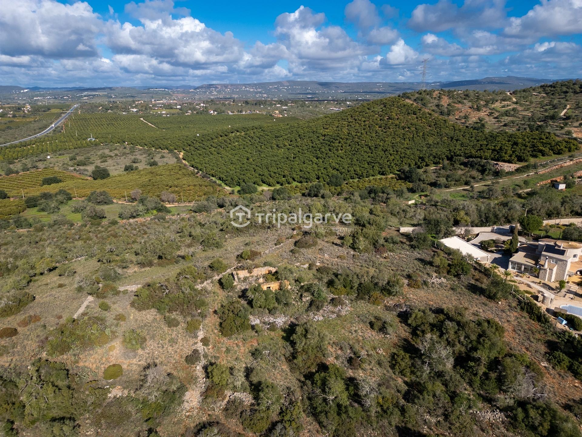 Terreno Misto  Venda em Algoz e Tunes,Silves