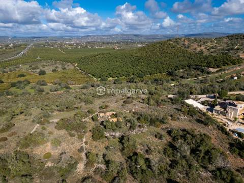 Terreno Misto  Venda em Algoz e Tunes,Silves