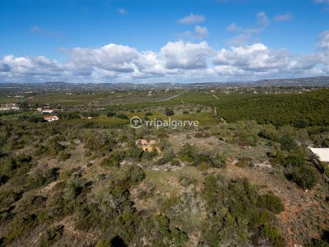 Terreno Misto  Venda em Algoz e Tunes,Silves