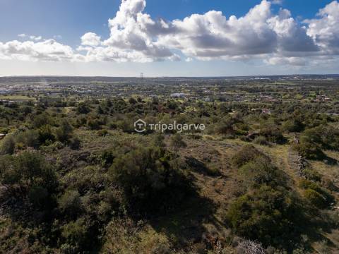 Terreno Misto  Venda em Algoz e Tunes,Silves