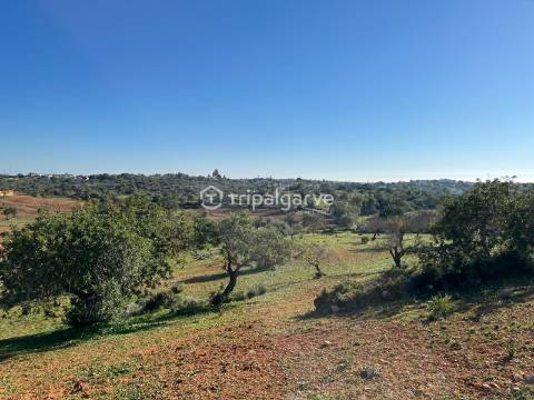 Terreno Mixto com Ruína em Canais – Albufeira