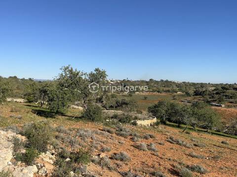 Terreno Mixto com Ruína em Canais – Albufeira