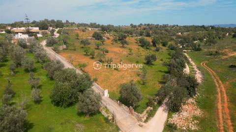 Terreno Mixto com Ruína em Canais – Albufeira