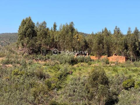 Terreno Misto com Ruínas na barragem de Odelouca