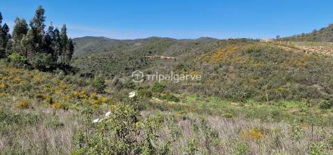 Terreno Misto com Ruínas na barragem de Odelouca