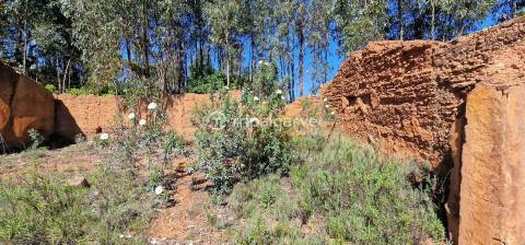 Terreno Misto com Ruínas na barragem de Odelouca