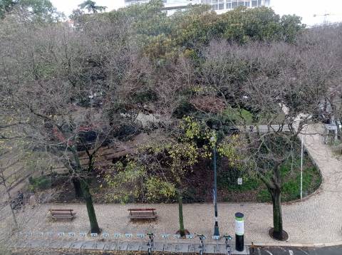 Apartamento T1 - totalmente remodelado, no Jardim Constantino - Arroios