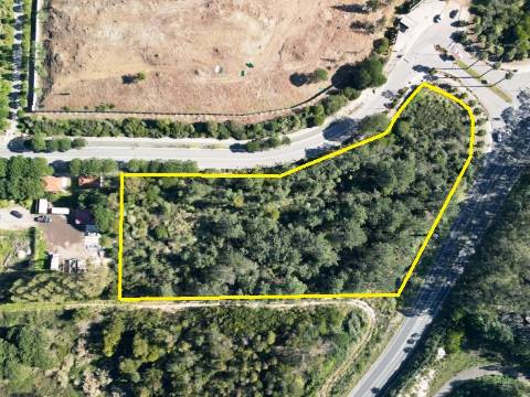 Terreno 10.006 m2 na entrada do Belas Clube de Campo, Sintra