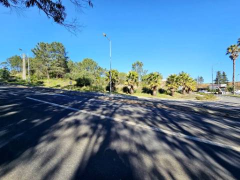 Terreno 10.006 m2 na entrada do Belas Clube de Campo, Sintra