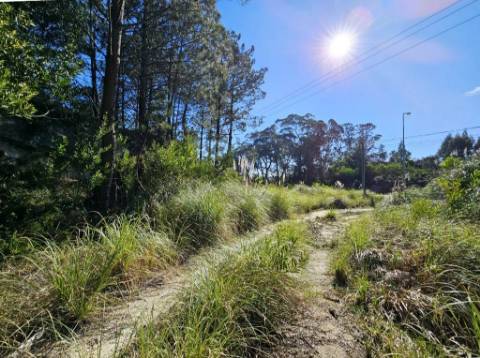 Terreno 10.006 m2 na entrada do Belas Clube de Campo, Sintra