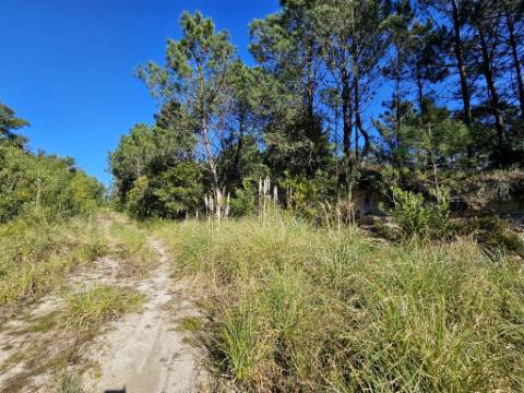 Terreno 10.006 m2 na entrada do Belas Clube de Campo, Sintra