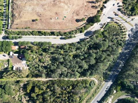 Terreno 10.006 m2 na entrada do Belas Clube de Campo, Sintra